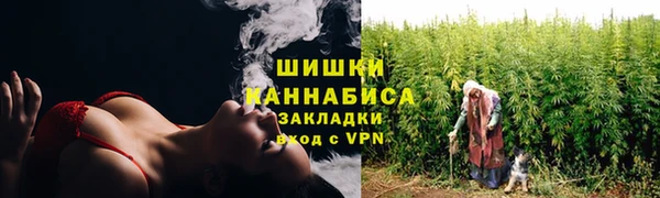 PSILOCYBIN Абдулино