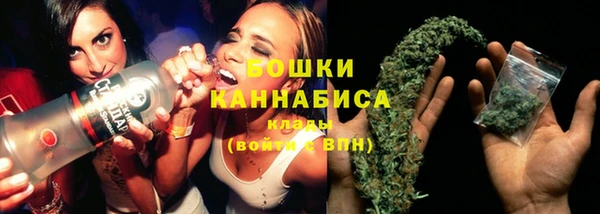 PSILOCYBIN Абдулино