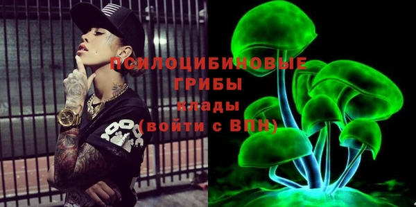 PSILOCYBIN Абдулино