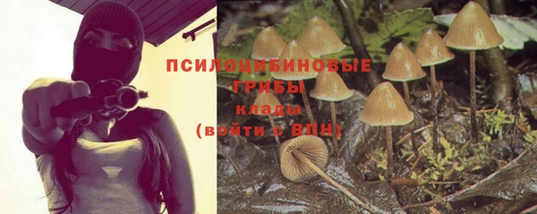 PSILOCYBIN Горняк